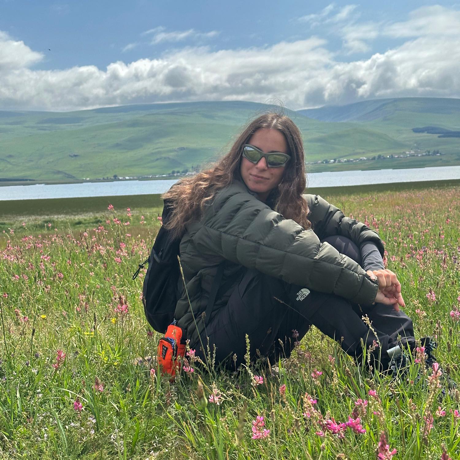 ნინი დარჩია